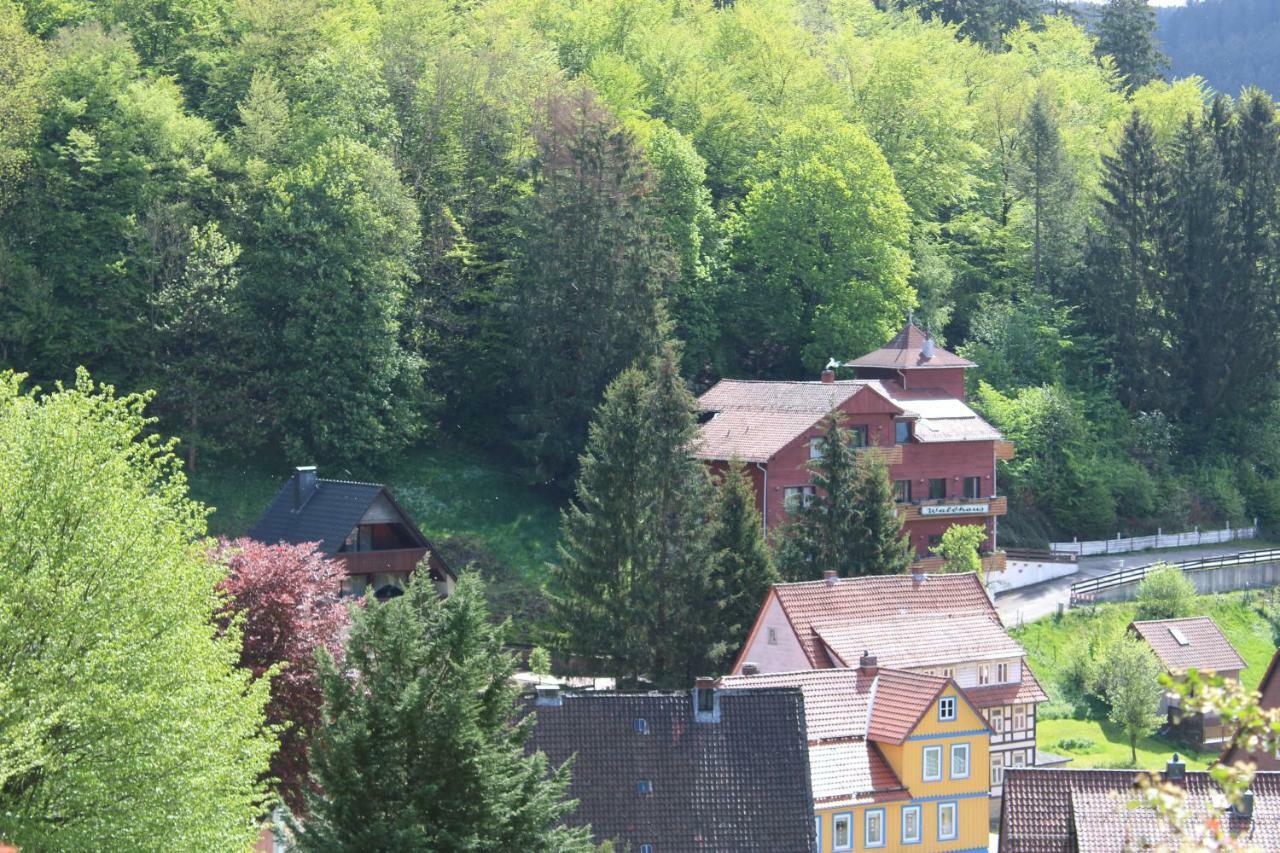 Hotel-Pension Waldhaus Bad Grund Kültér fotó